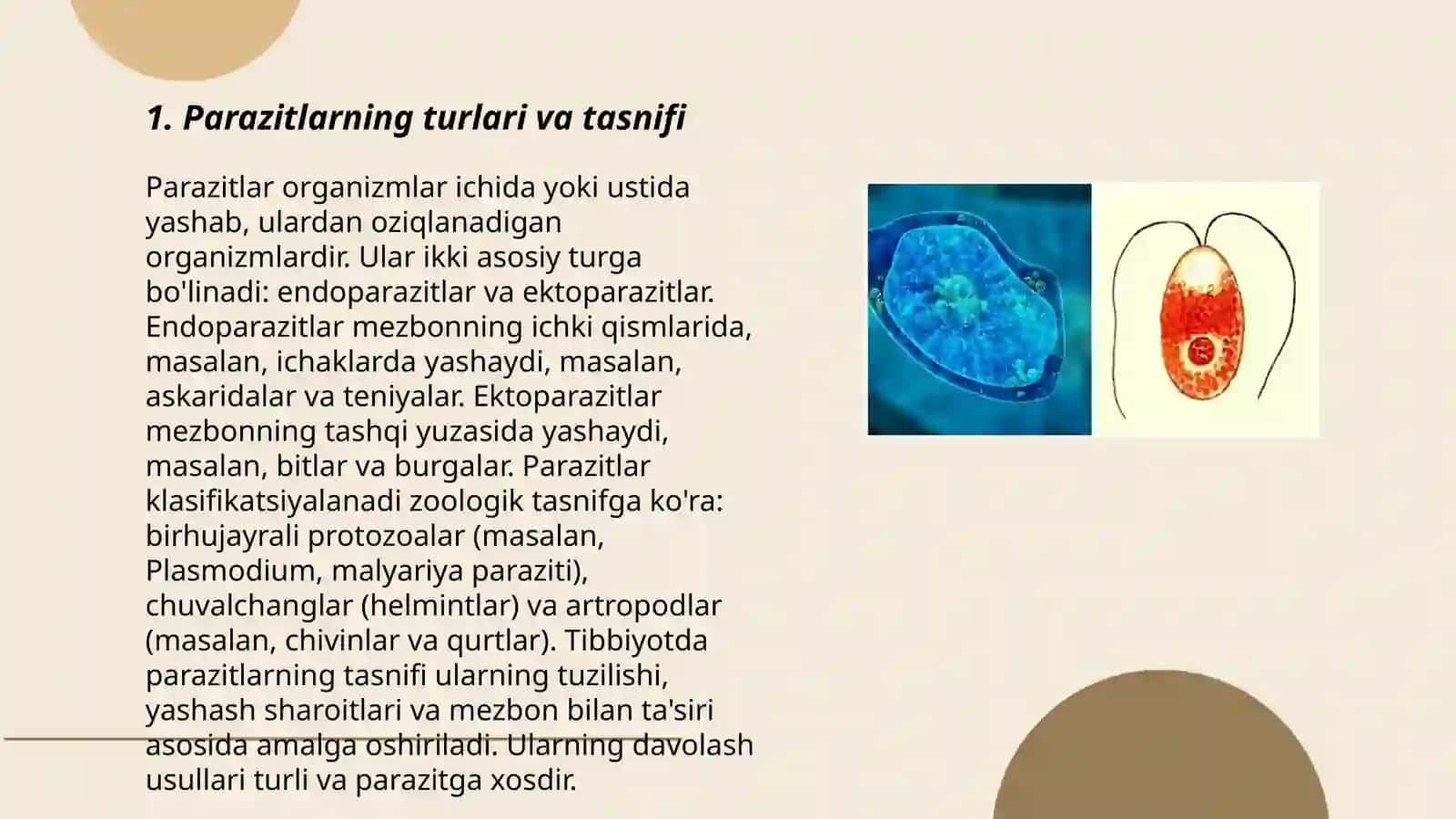 Xivchinlilar odam parazitlari 3