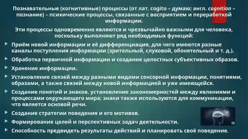 Познавательные процессы в общей психологии 3