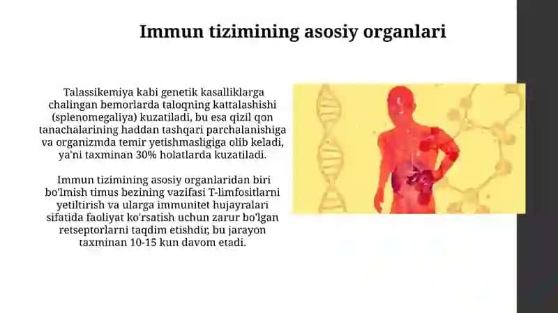 Qon yaratuvchi va immun himoya aʼzolari 3