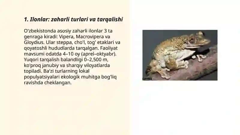 Zaharli hayvonlar 3