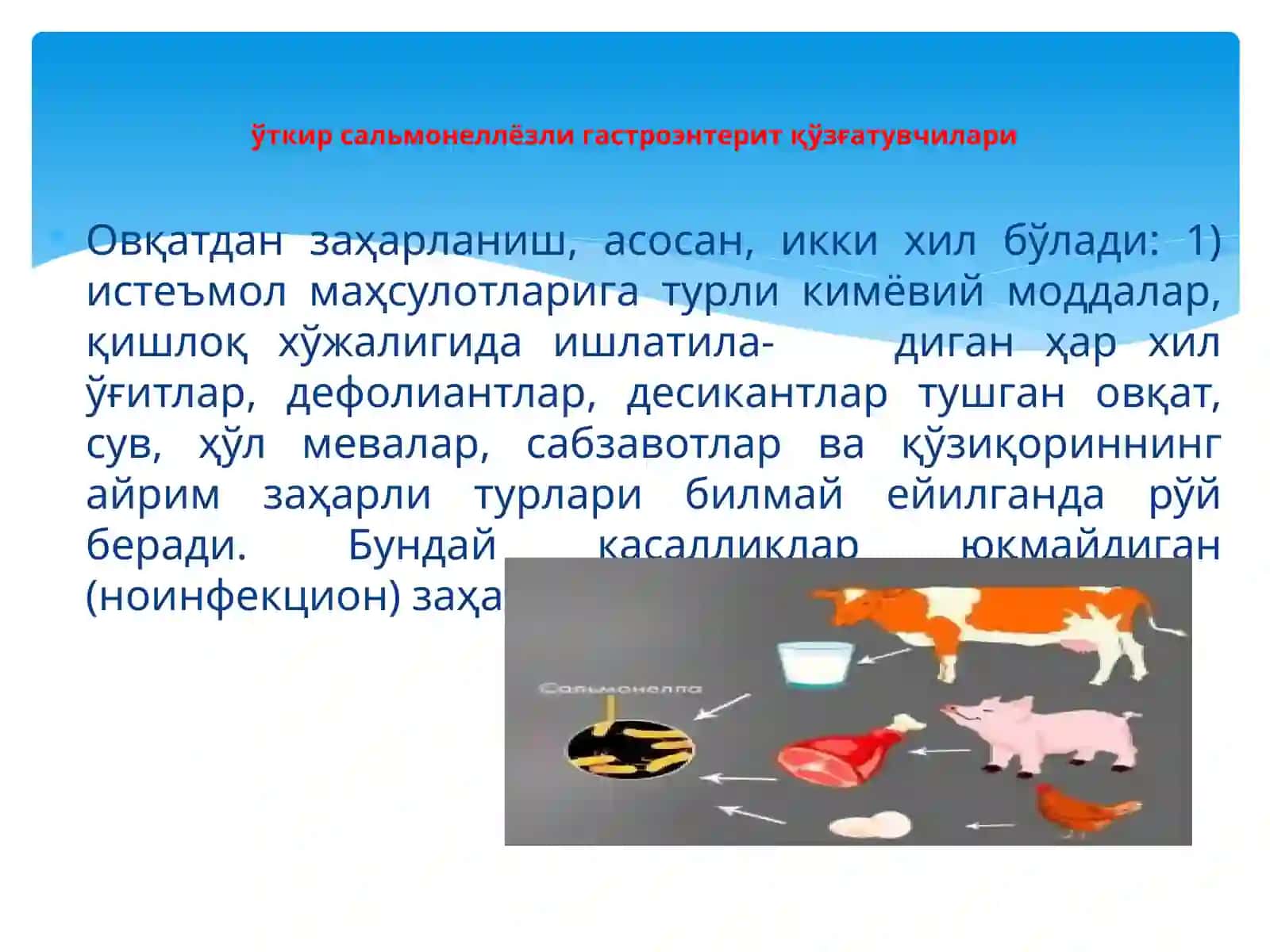 Сальмонеллалар 3
