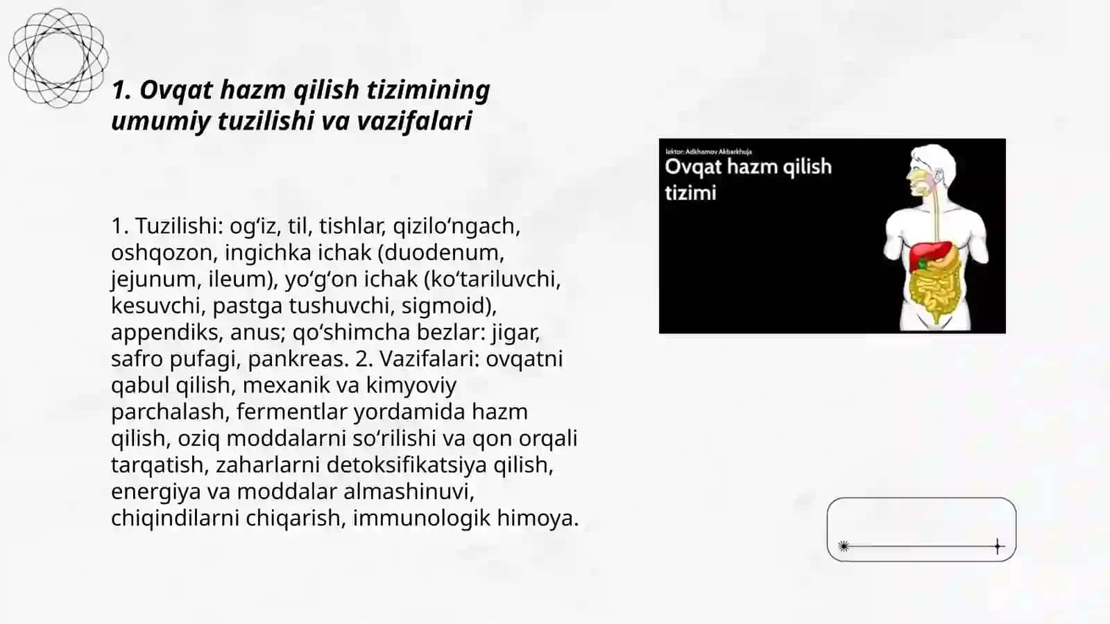 Ovqat hazm qilish tizimi 3