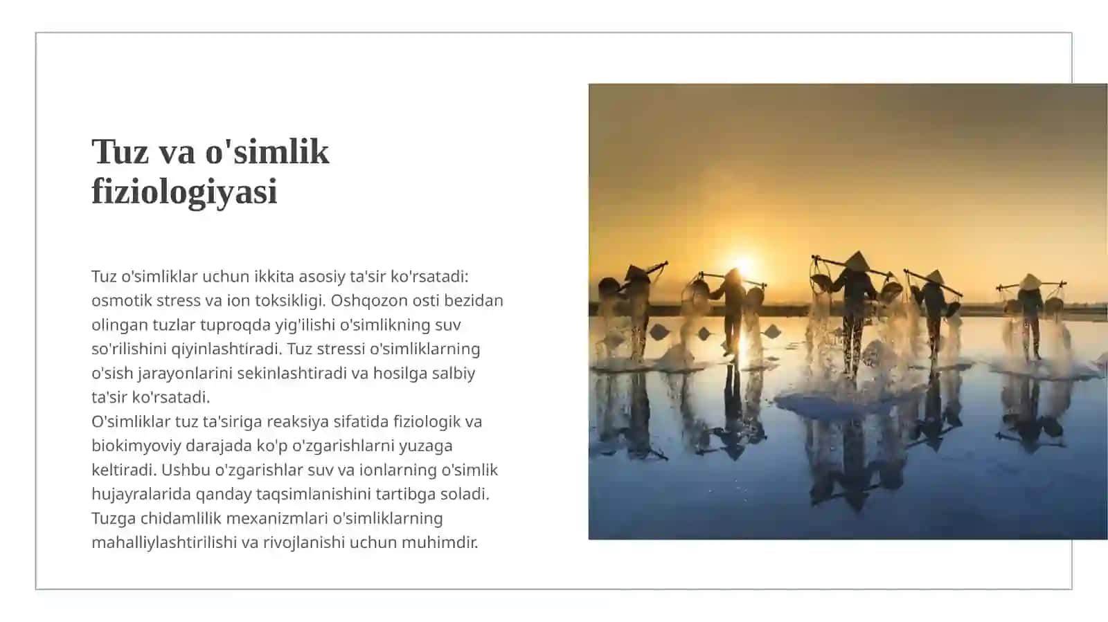 Tuzga chidamliligi 3