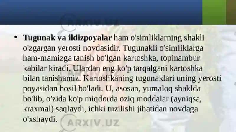 SHAKLI O‘ZGARGAN NOVDALAR 3