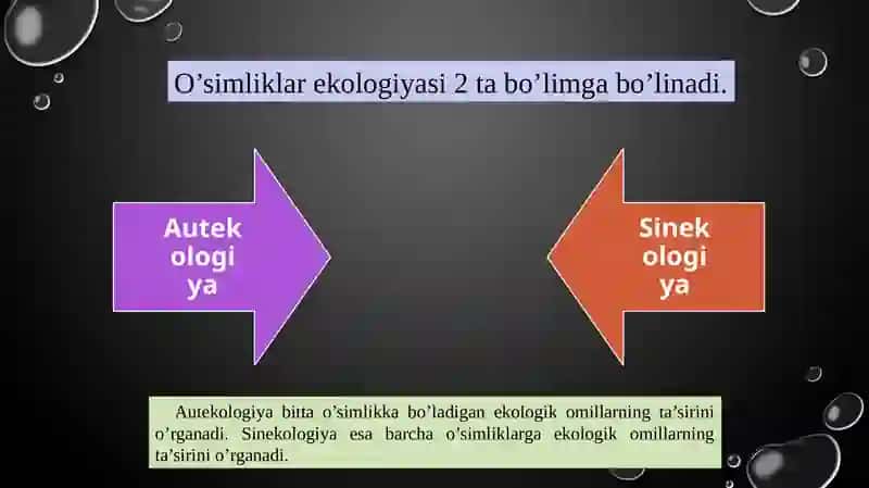 o’Simliklarning biosferadagi ahamiyati 3