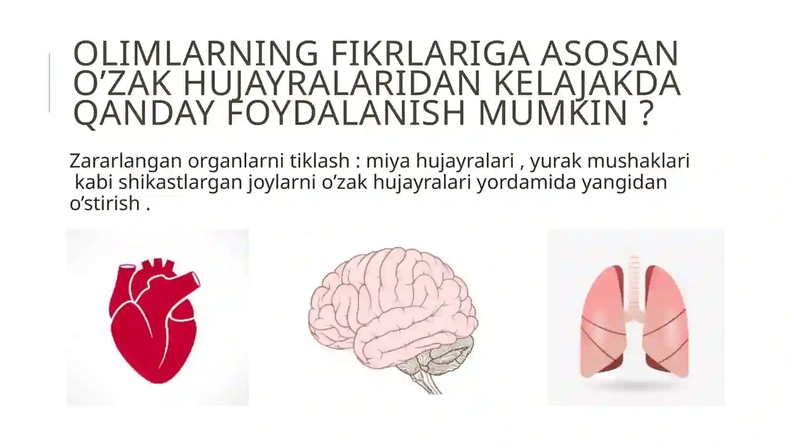 O'zak hujayralar haqida olimlarning fikri 3