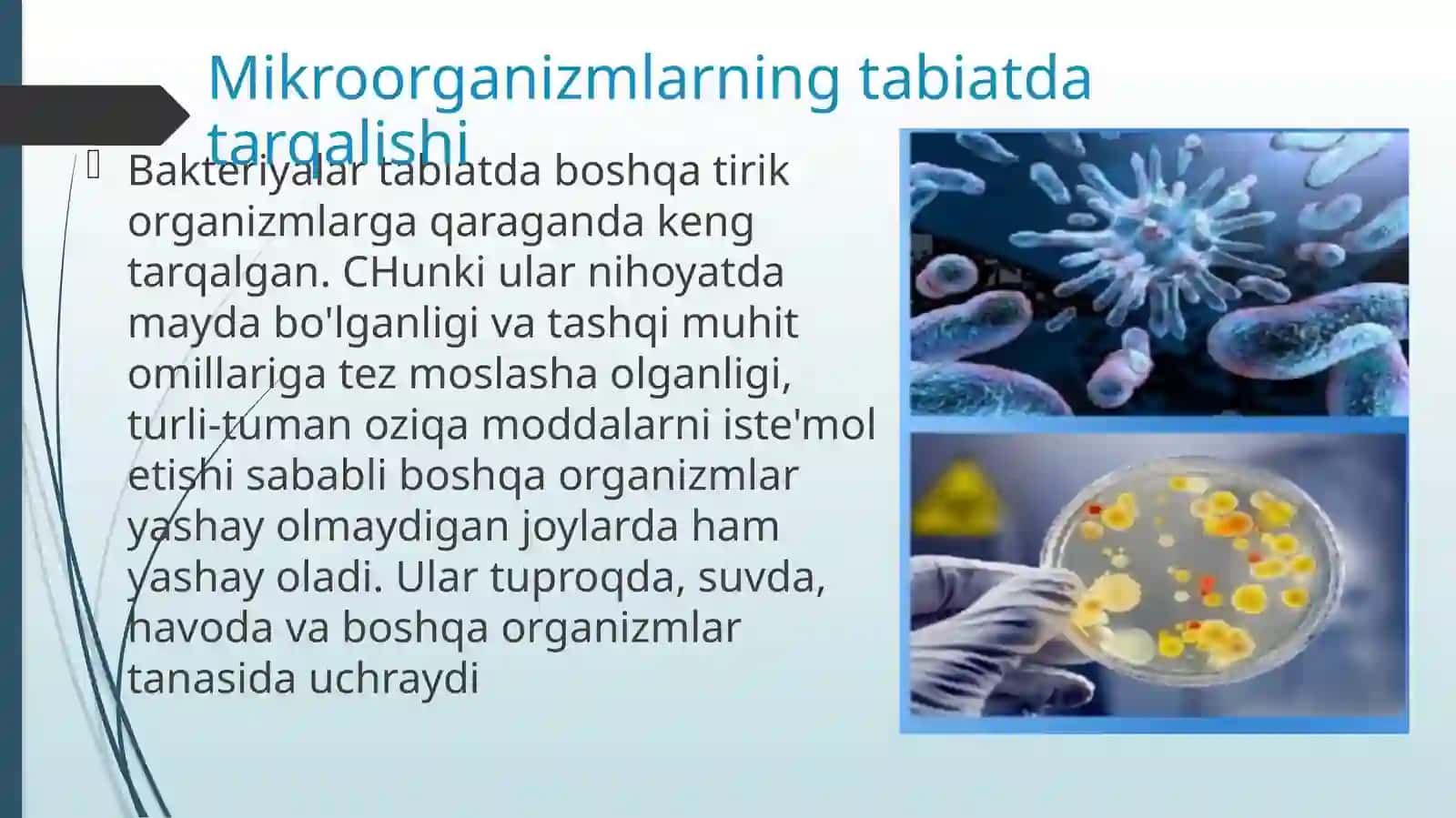 MIKROORGANIZMLAR EKOLOGIYASI 3