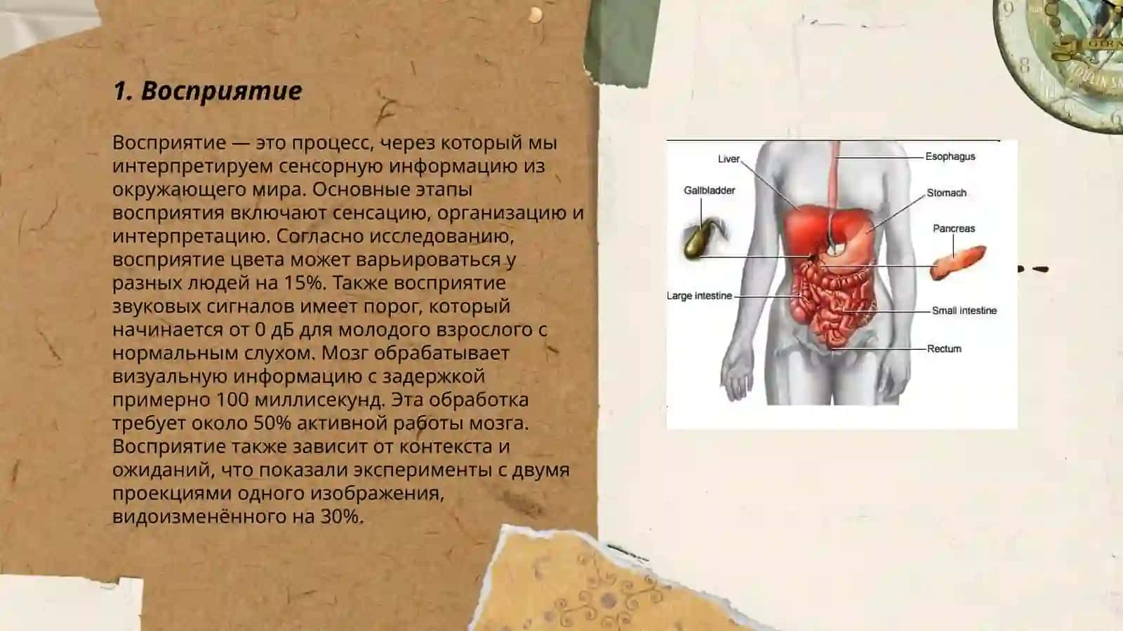 Povedeniye cheloveka 3