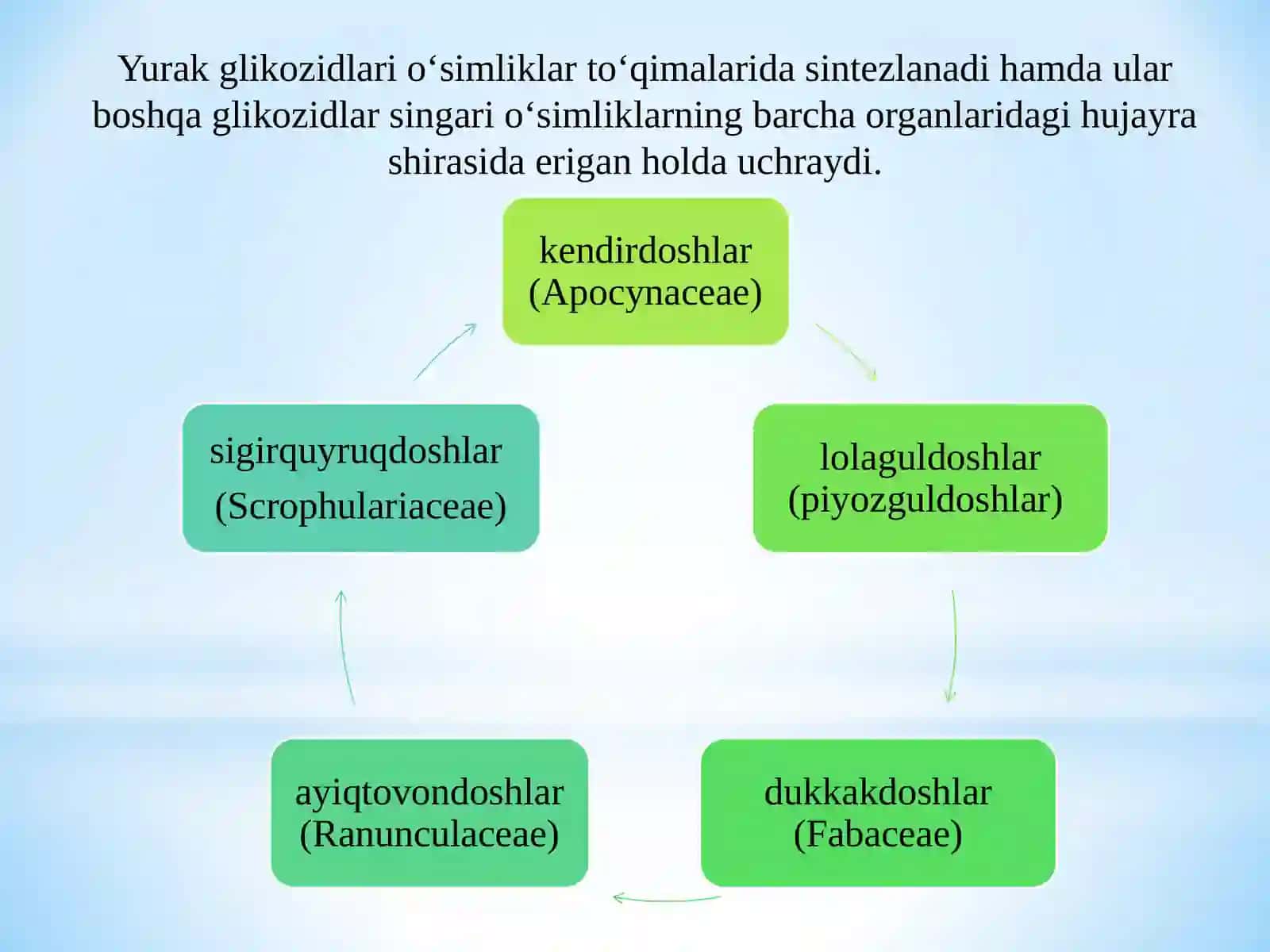 Glikozidlar va dorivor o‘sishlar 3