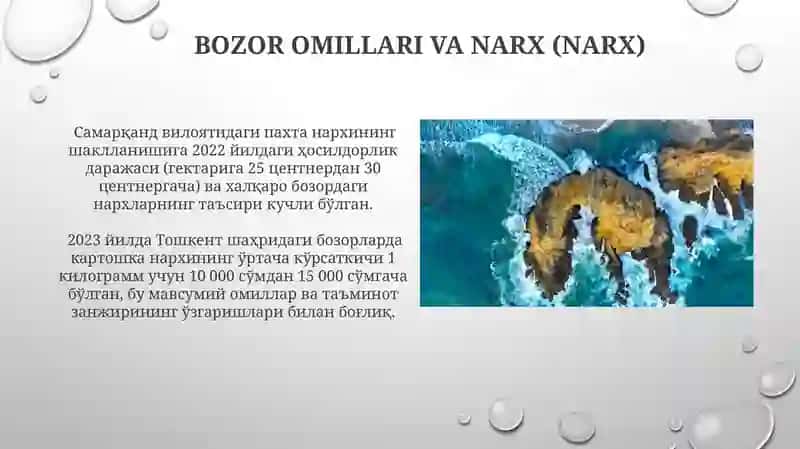 NARX (Narx) Shakl Xususiyatlari 3