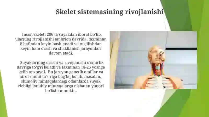 Anatomiya fanning kirish qizmi va tarixi 3