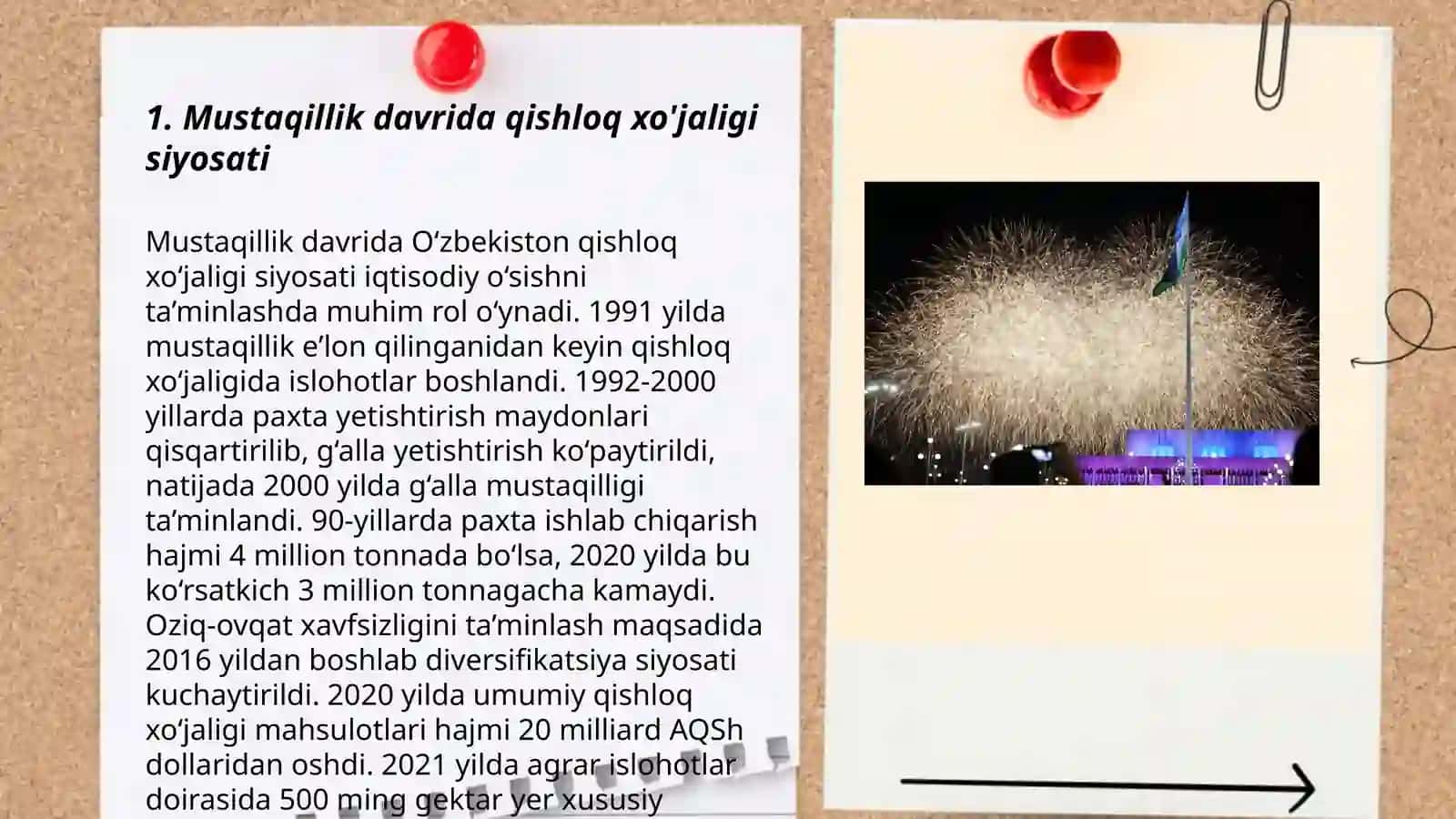 Mustaqilik yillarda qishloq xo'jaligi 3