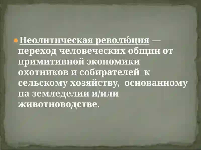 Неолитическая революция и ее последствия 3
