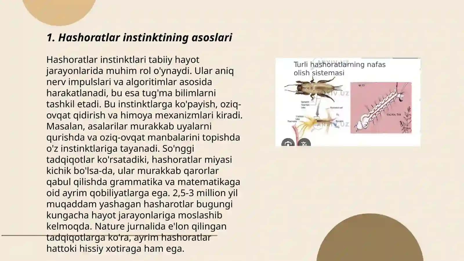 Hashoratlarning instinki 3