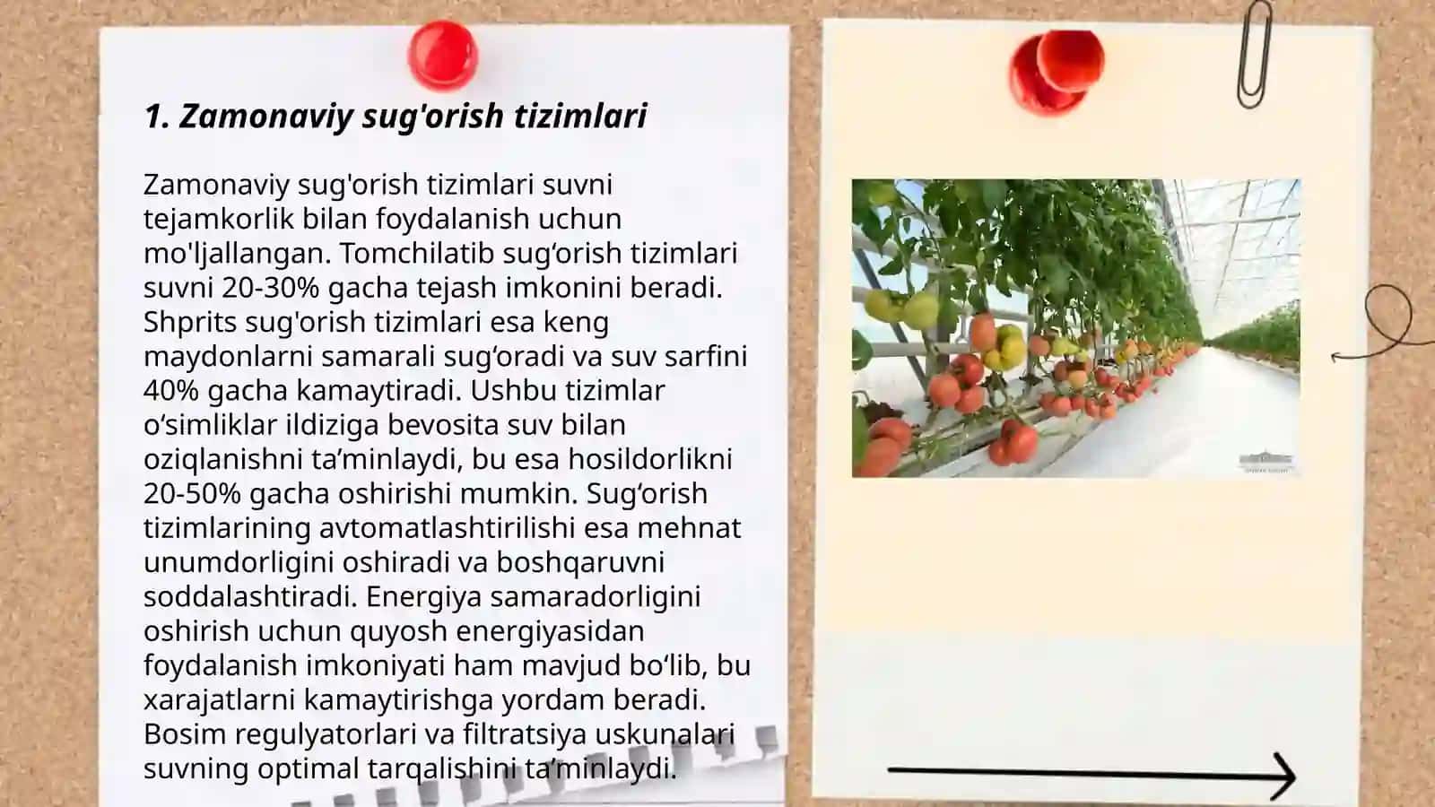 Zamonaviy sug'orish tizimlari 3