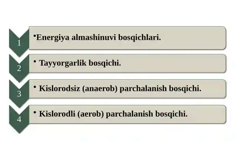 Biologiya 3