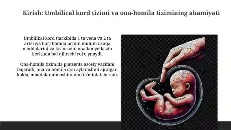 Ona-homila tizimi 3