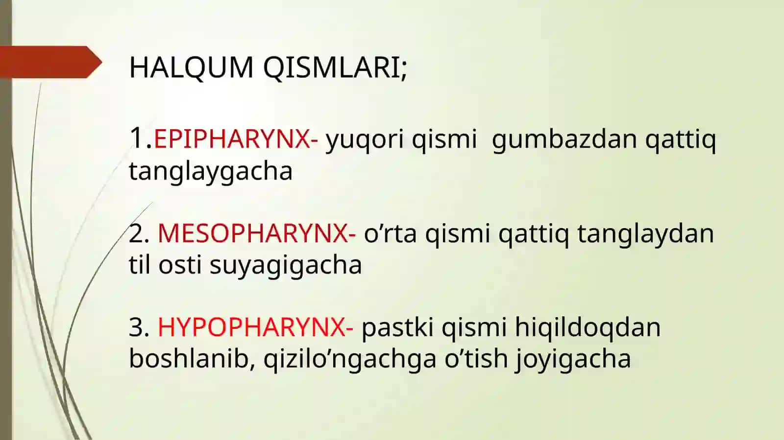 HALQUM TUZILISHI 3