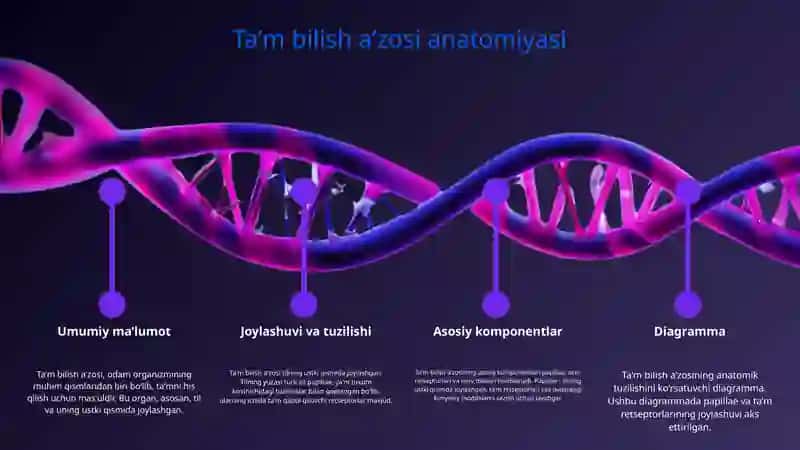 Taʼm bilish aʼzosi 3