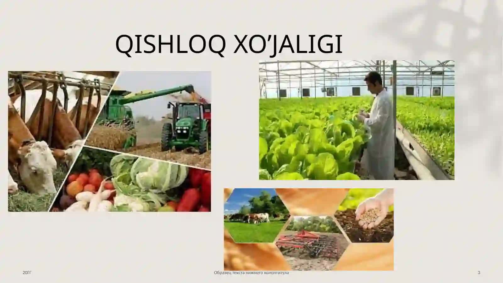 QISHLOQ XOJALIGI VA BIOSFERA 3