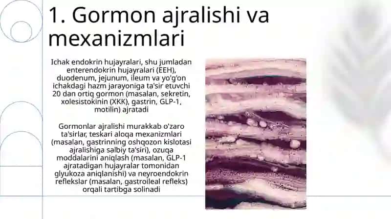 Ichak endokrin hujayralari 3