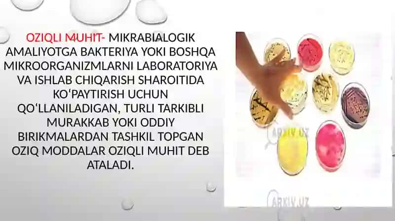 Ozuqa muhitlar ,tasnifi va unga qoʻyilgan talablar 3