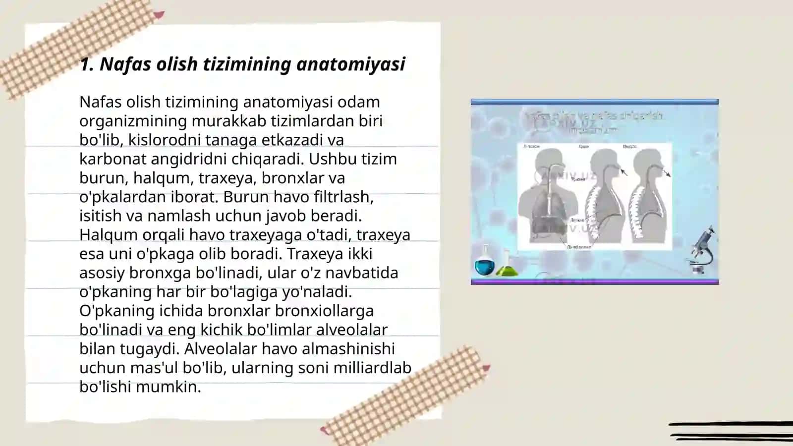 Nafas olish mexanizimi 3