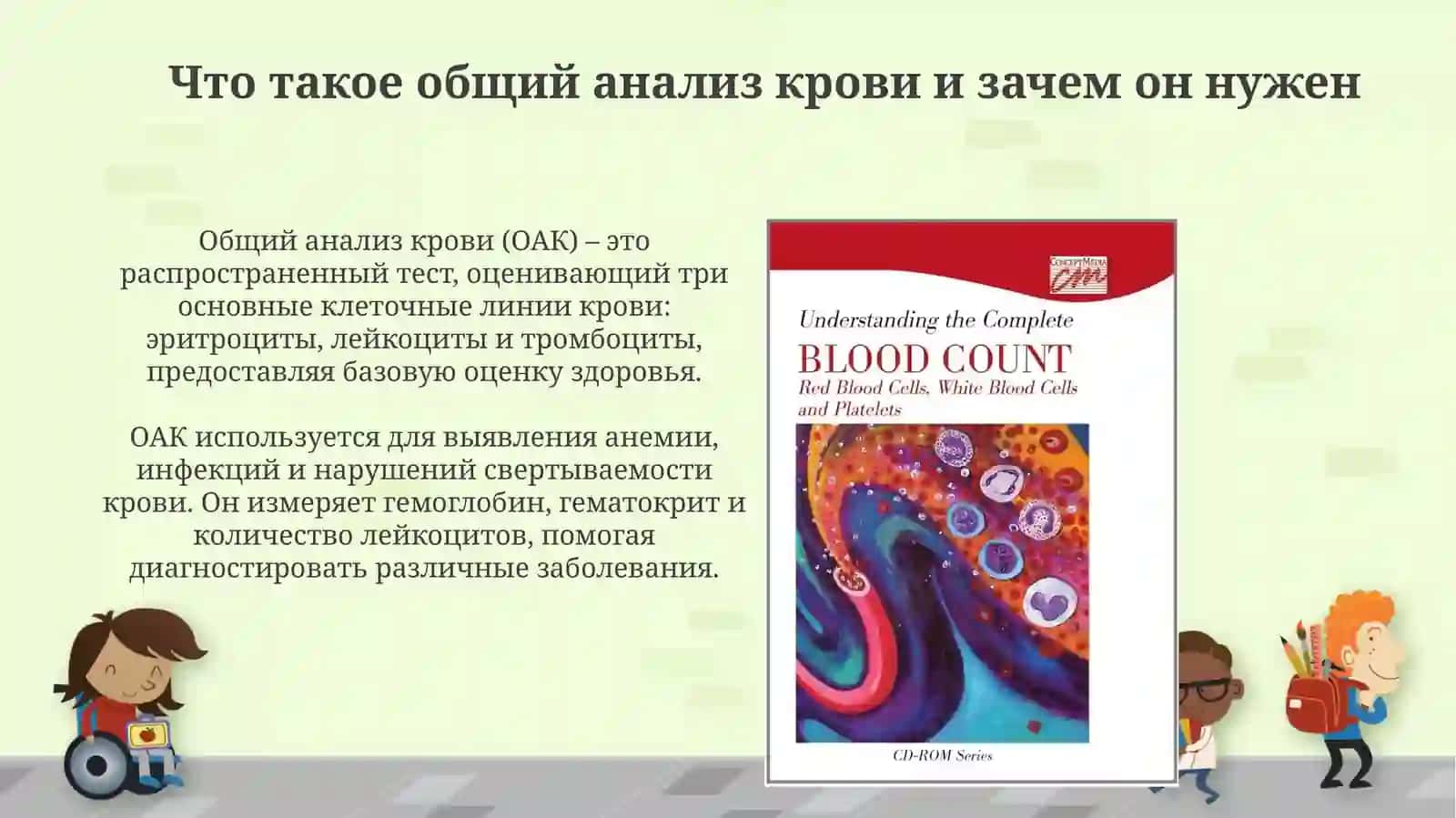 Общий анализ крови 3