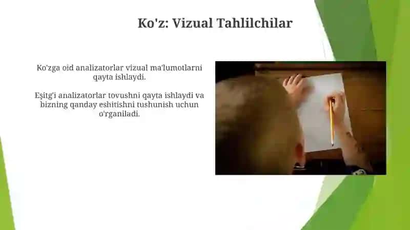 Ko'z: Vizual Tahlilchilar 3