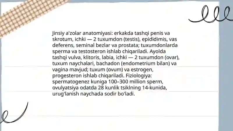 Jinsiy tarbiya 3