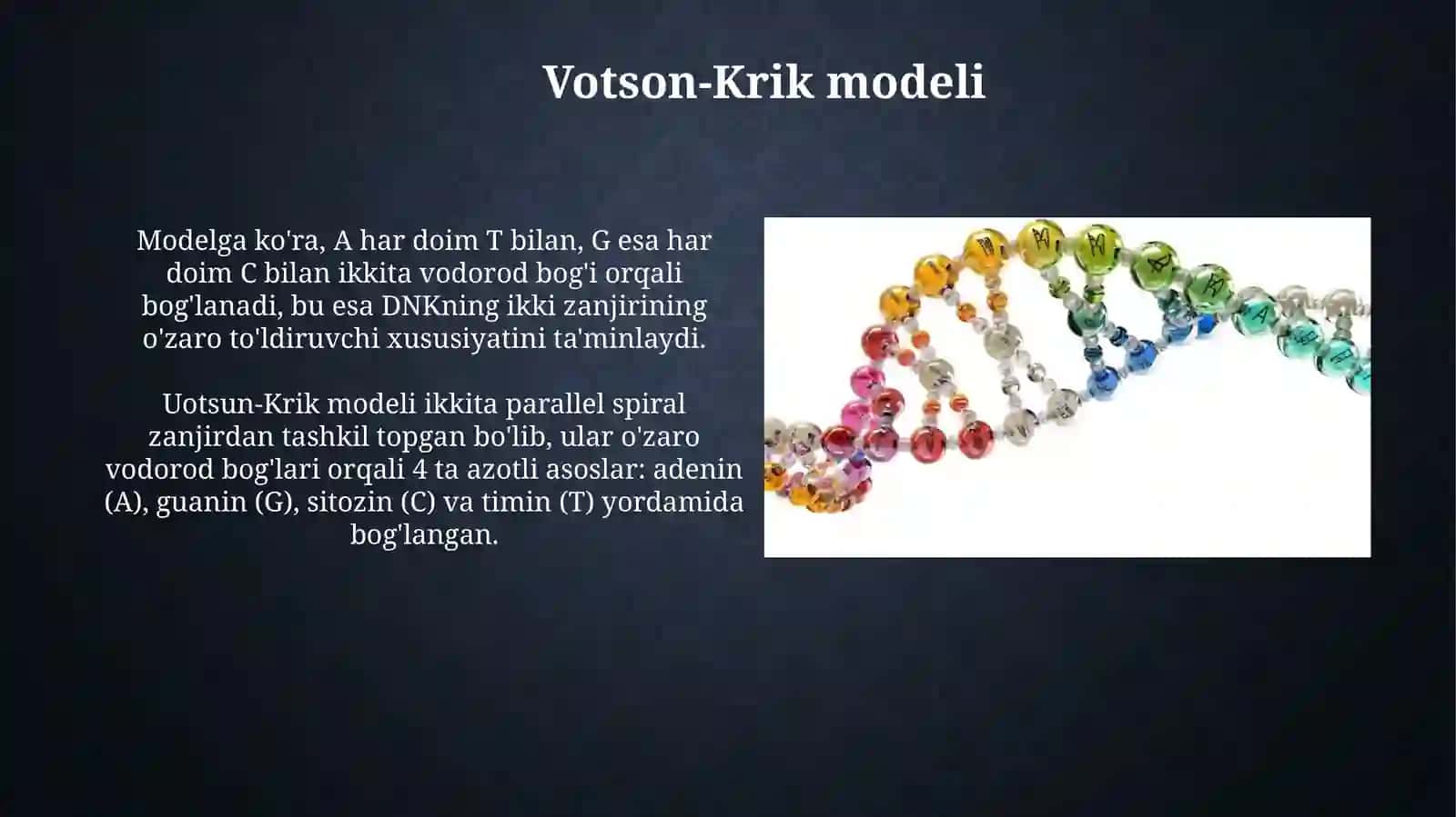 DNK.Tuzilishi va uning xossalari 3