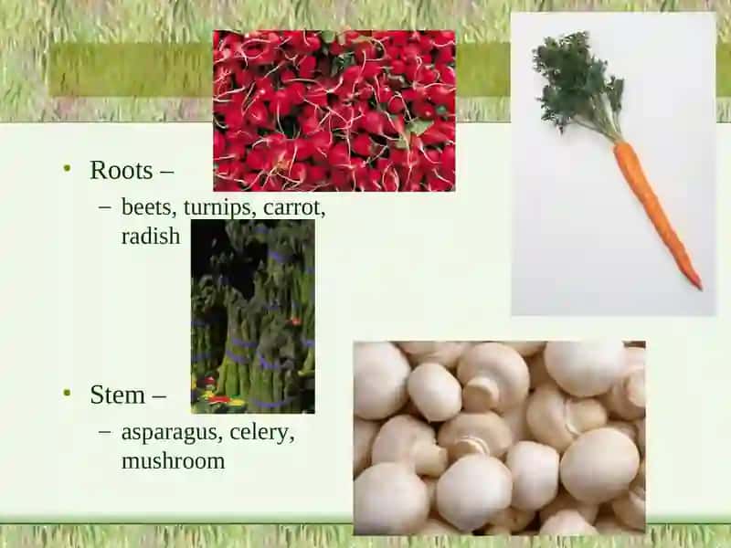 Classification of Vegetables 3
