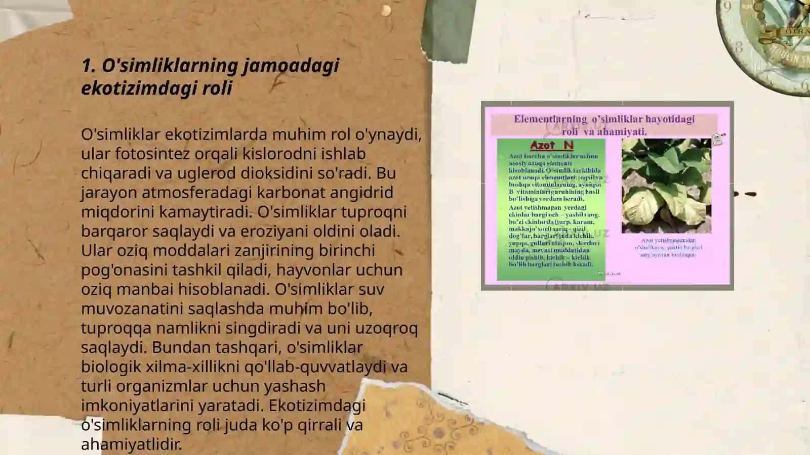 O'simliklarning jamoadagi o'zaro munosabatlari 3