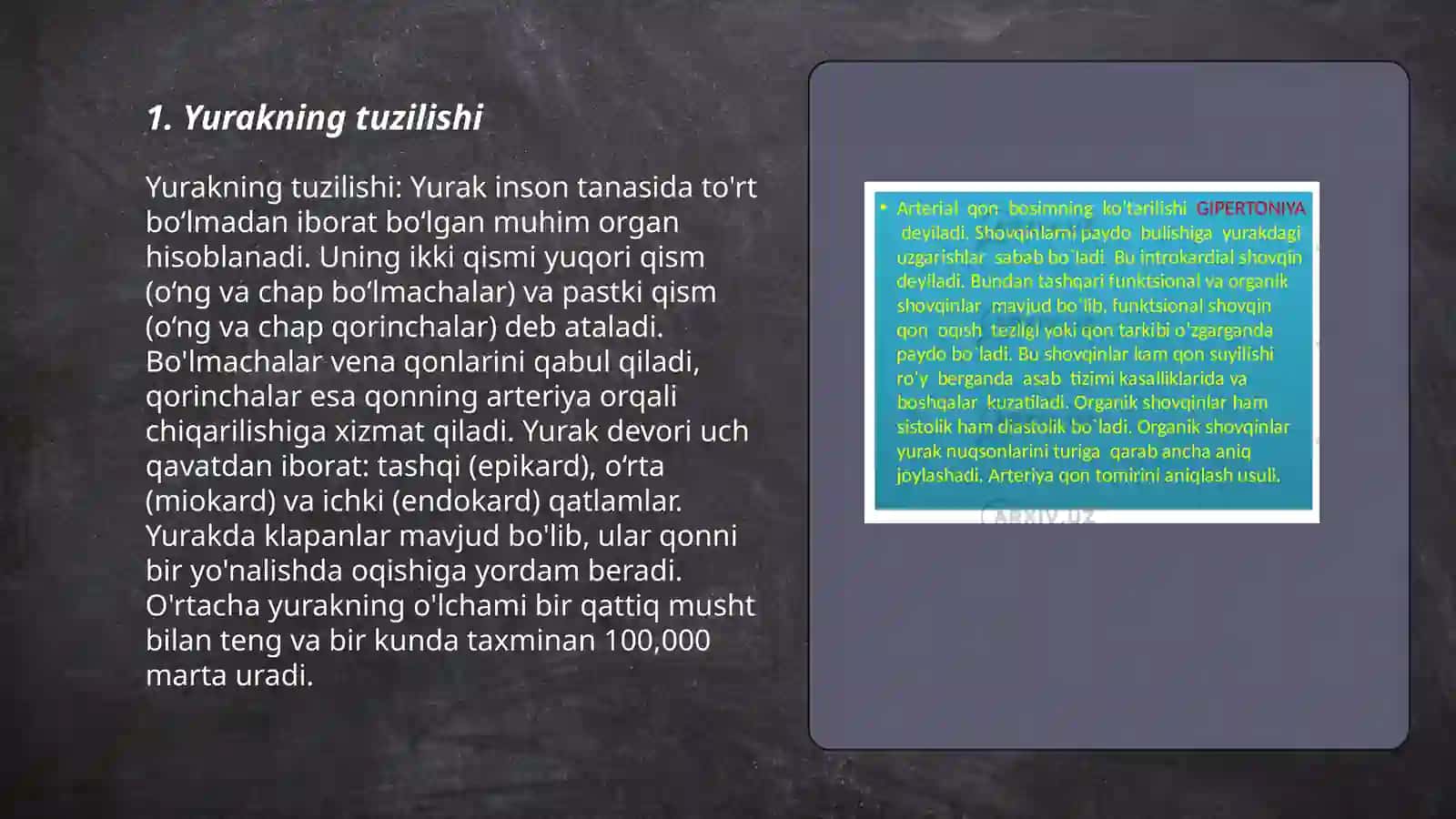 Qon tomirlari sistemasi 3