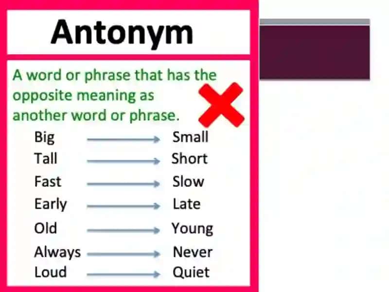 SynonymandAntonym 3