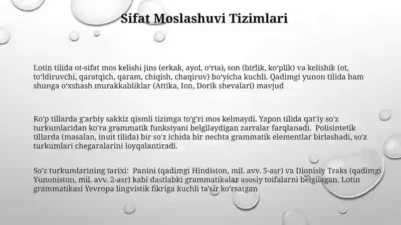 So'z turkumlarining evolyutsiyasi va divergensiyasi 3