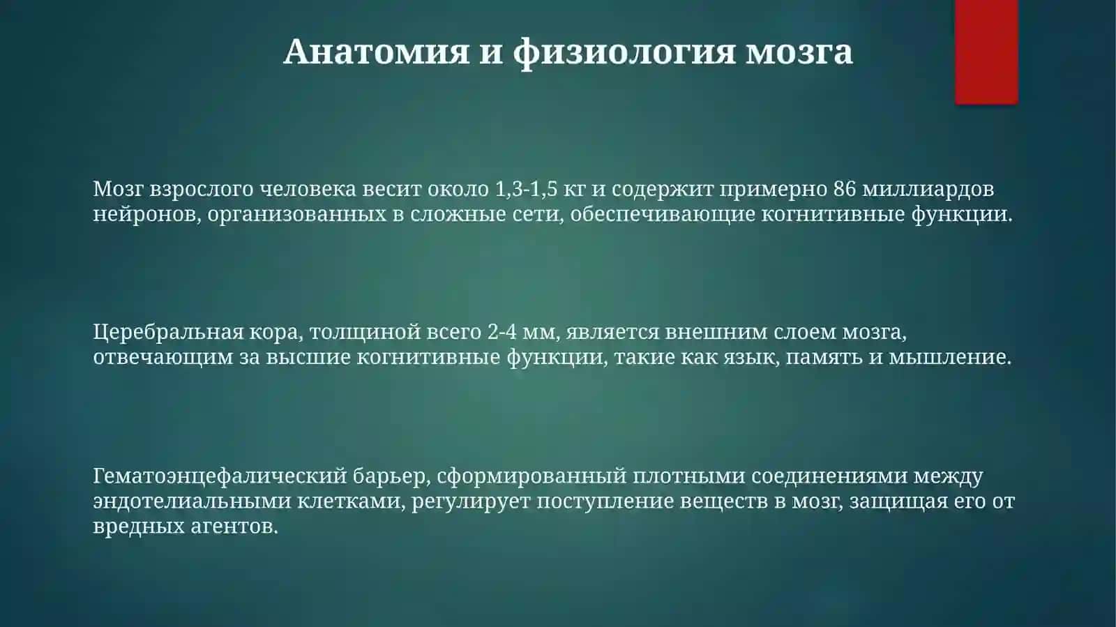 Mavzu: головной мозг 3