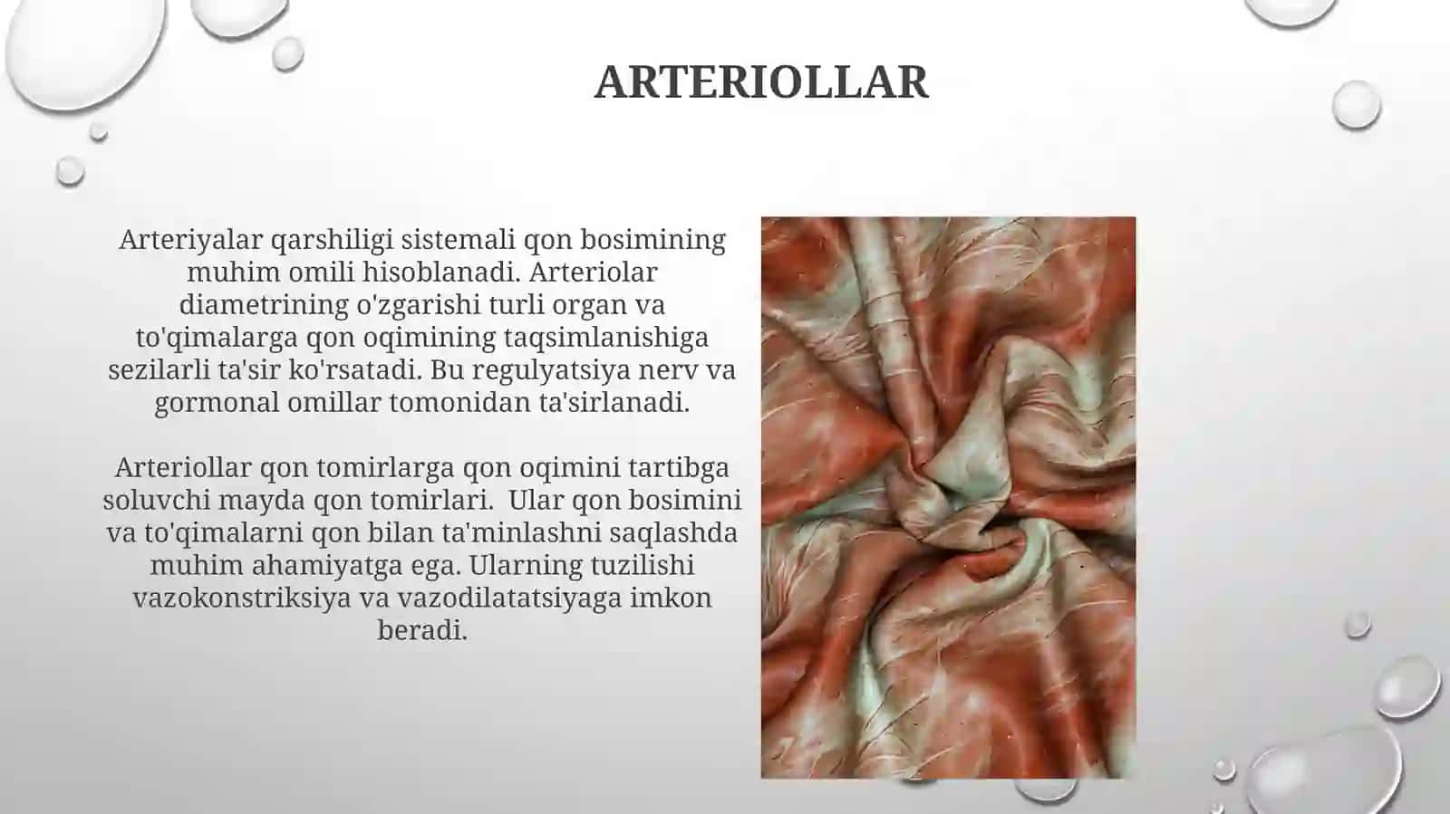 Arteriologiya 3