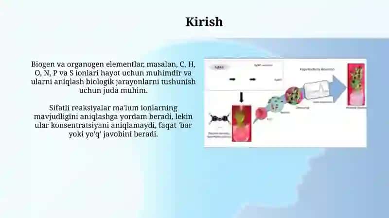 Biogen va organogen elementlari ionlarga sifat reaksiyalari 3