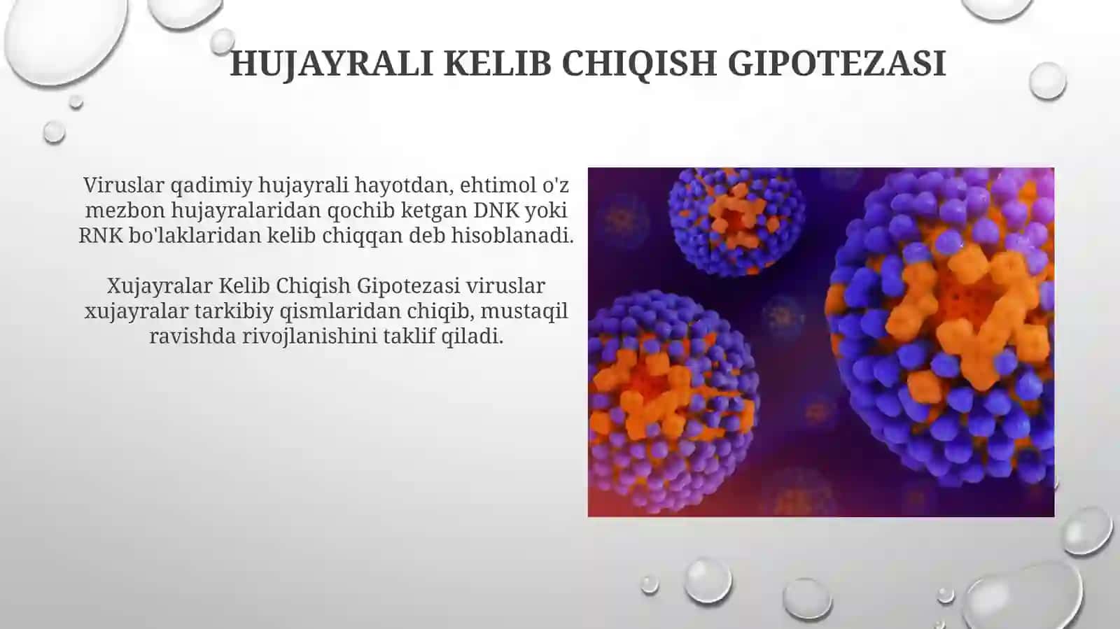 Virus Evolyutsiyasi va Xilma-Xilligi 3
