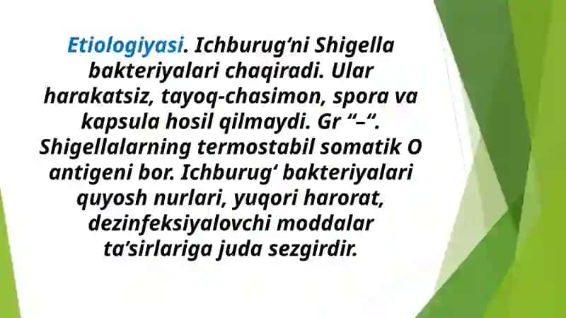 Ichburug‘ –Dizenteriya (shigellyozlar) 3