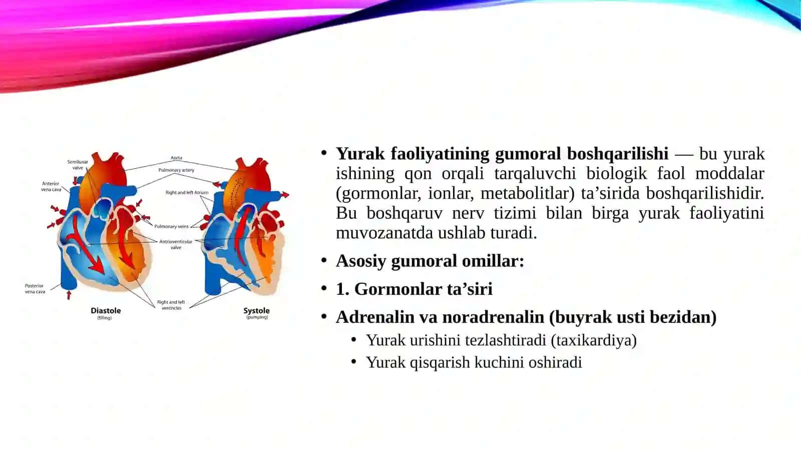 Yurak faoliyatining gumoral boshqarilishi 3