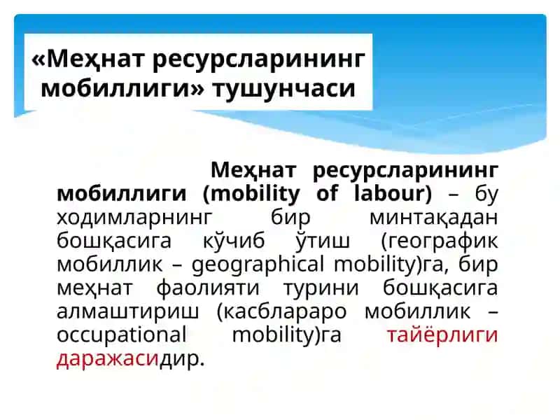 Меҳнатресурсларининг мобиллиги ва миграцияси 3