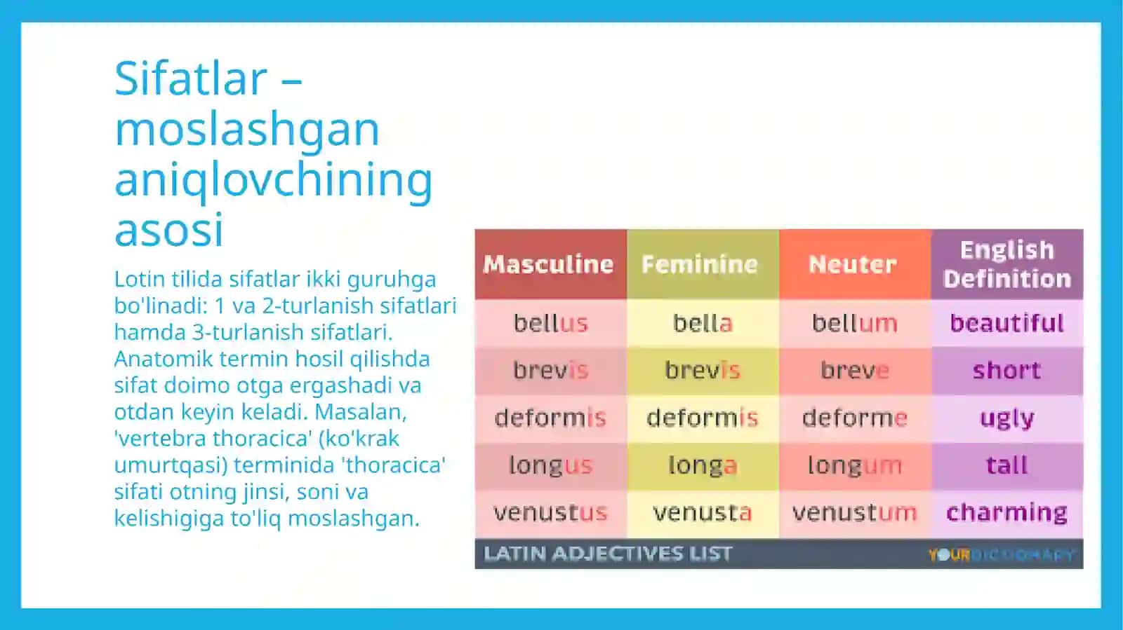 Moslashgan aniqlovchili anatomik terminlar/lotin tili 3