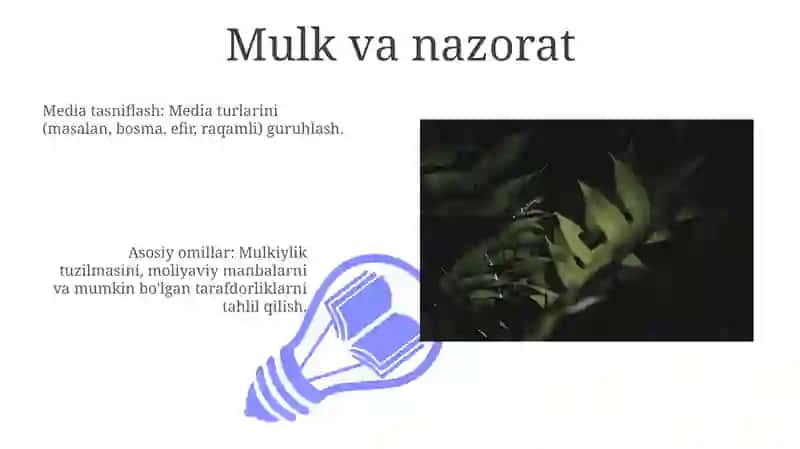 Media Tasniflashning Qo'llanilishi 3