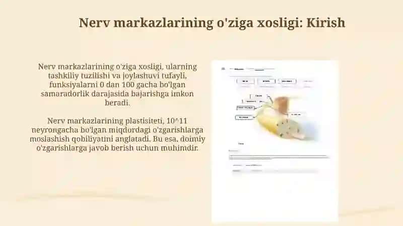 Nerv markazlarining o'ziga xosligi 3