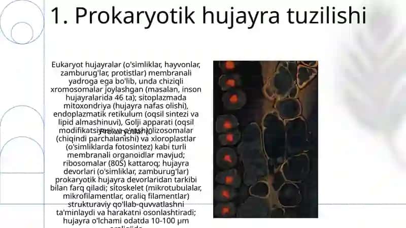 Prekariot erikariot 3