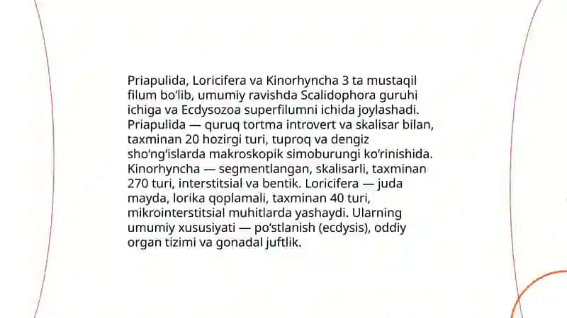 Priapulida Loricifera va Kinorhyncha 3