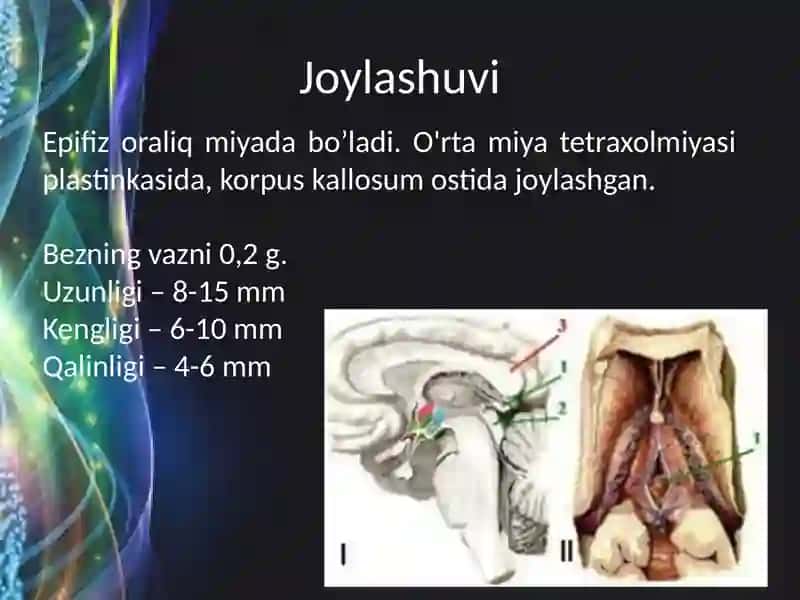 Gistologiya, Sitologiya, Embriologiya 3