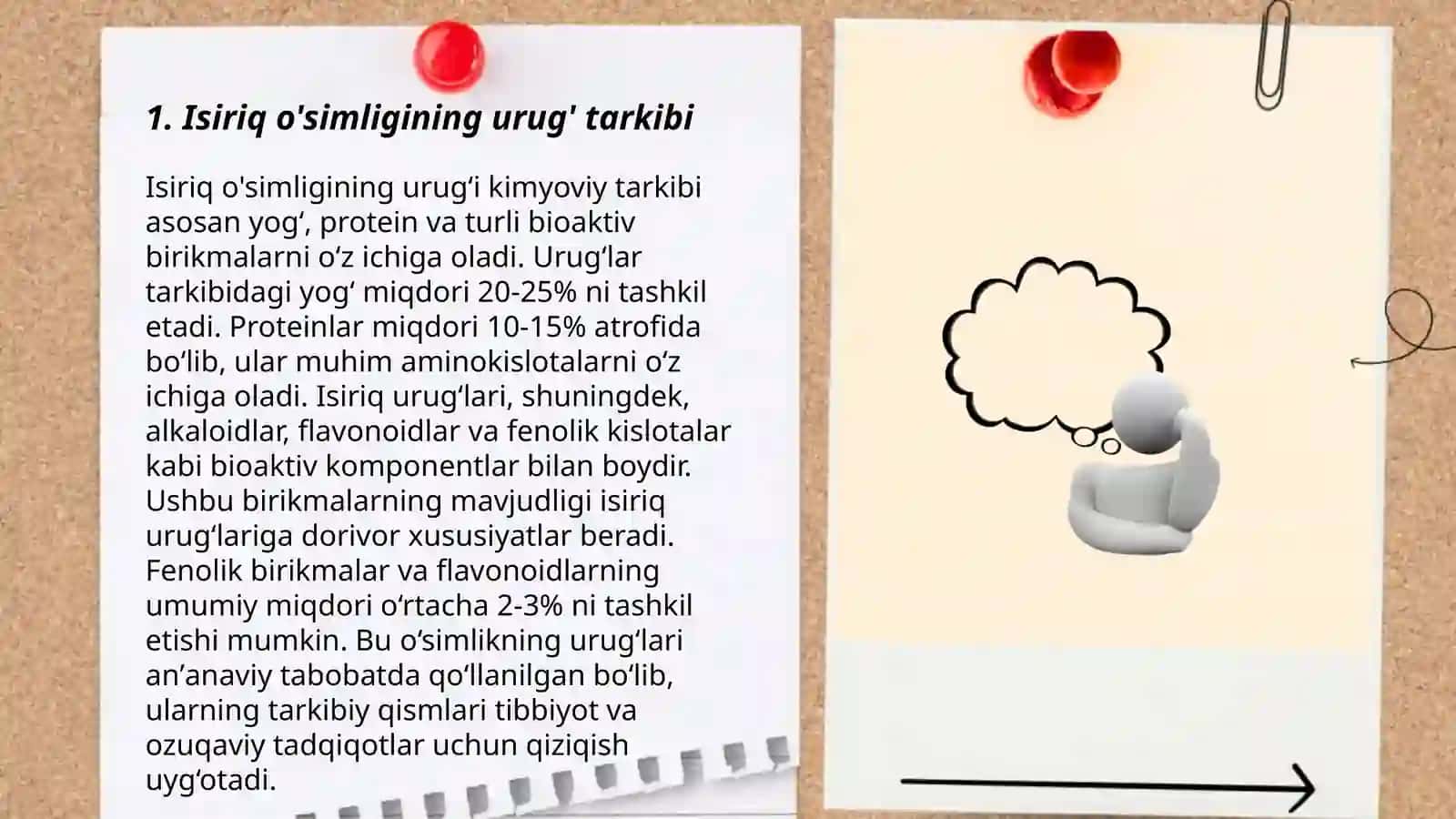 Isiriq o'simligining urug'chiligi 3